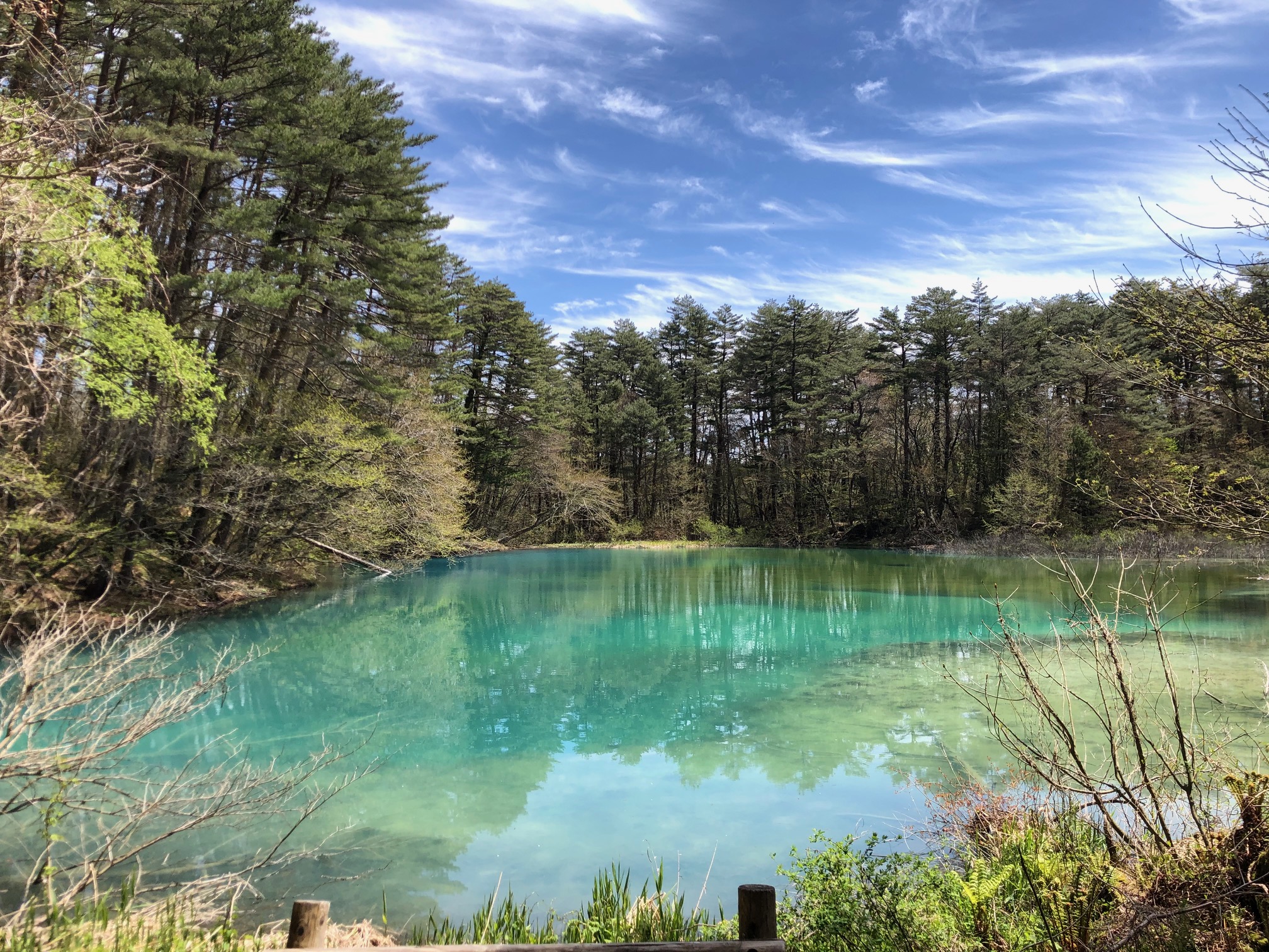 五色沼湖沼群・青沼