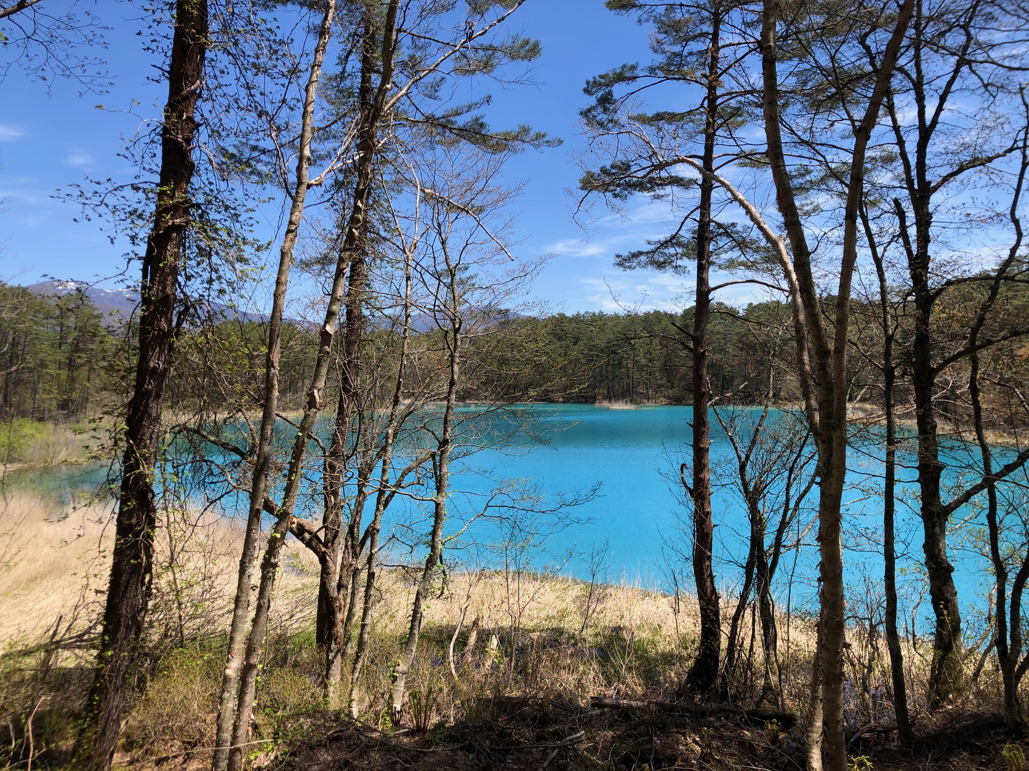 五色沼湖沼群・弁天沼