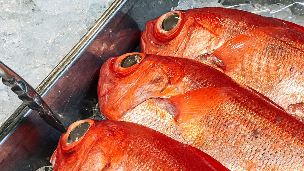 【限定3組】吉次と純米酒で味わう贅沢夕食プラン