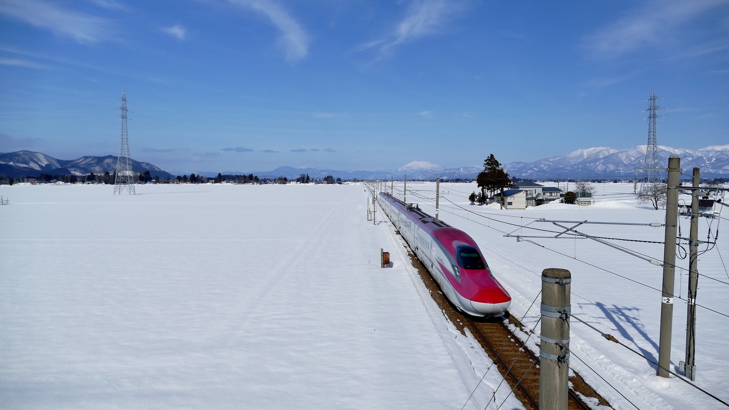 【ちょい贅沢】料理長おまかせ和膳／特別2食付