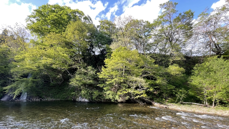 ラウンジ　藤時