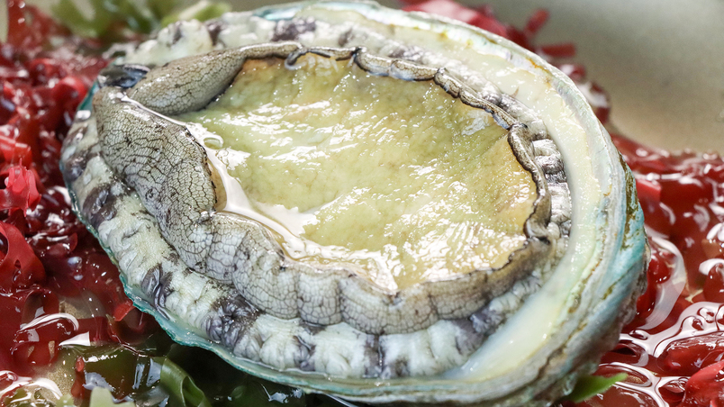 【2食付GU】「常磐もの」の鮑とキンキを愉しむプラン！茨城の豊かな素材を活かした料理を五感でいただく