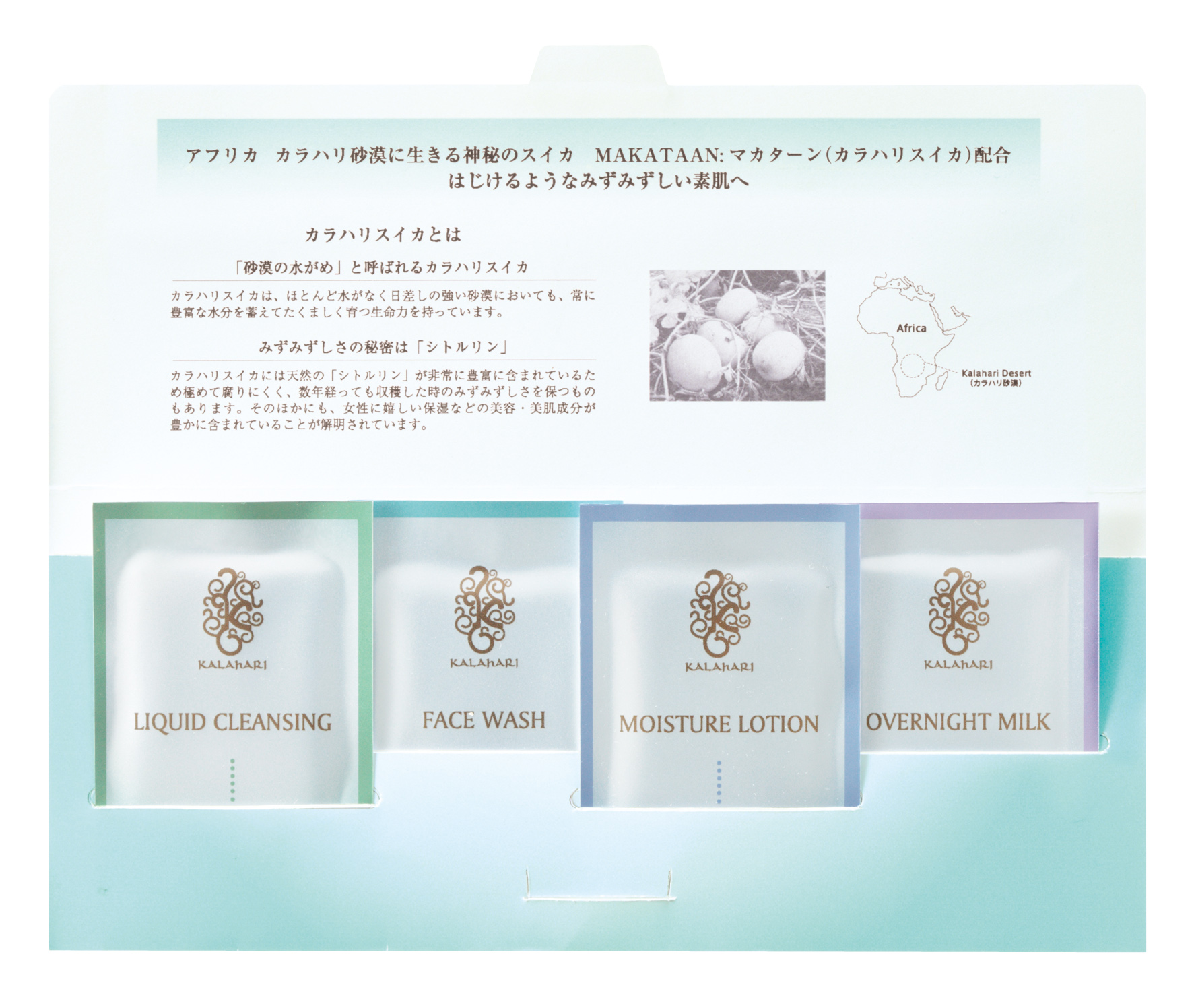 POLAカラハリ4点セット