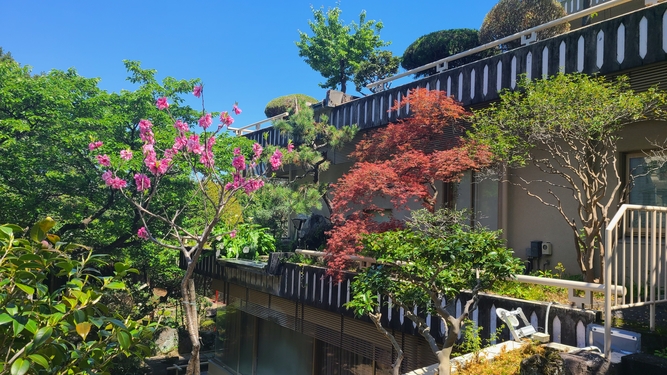 【秋旅】熱海梅園のもみじまつり＆起雲閣の芸術散策へ！老舗の日本庭園に癒やされる秋バイキングプラン