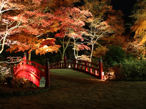 【秋旅】熱海梅園のもみじまつり＆起雲閣の芸術散策へ！老舗の日本庭園に癒やされる秋バイキングプラン