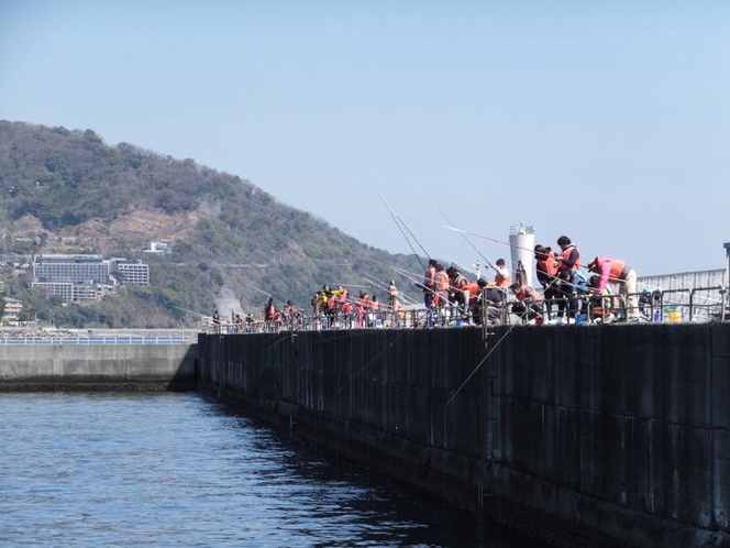 熱海港海釣り