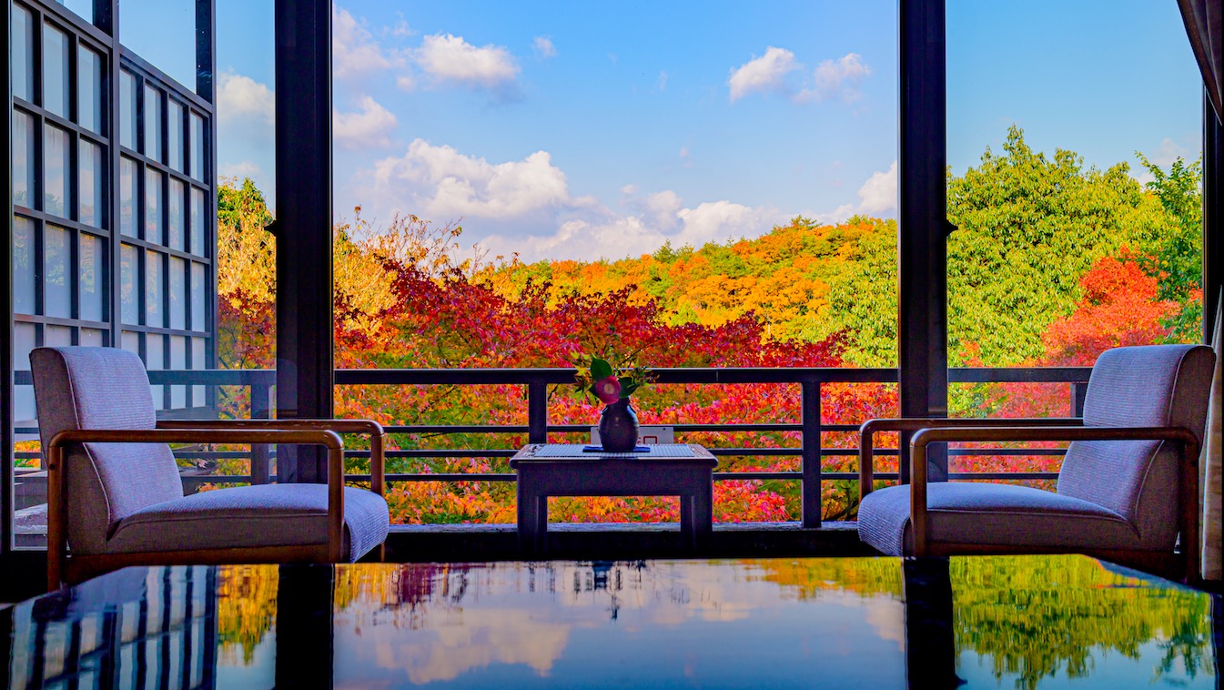 お部屋からの秋の風景