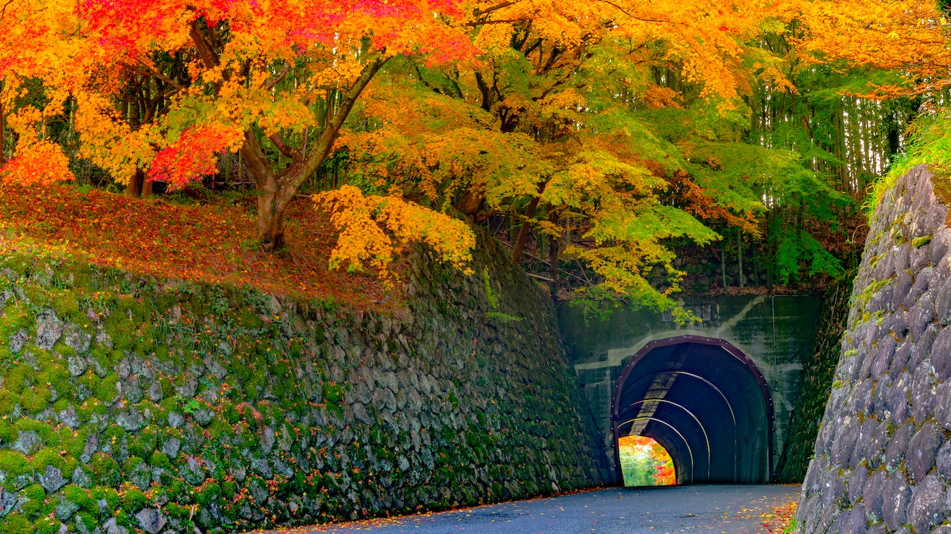 玄関前のトンネルの秋の風景