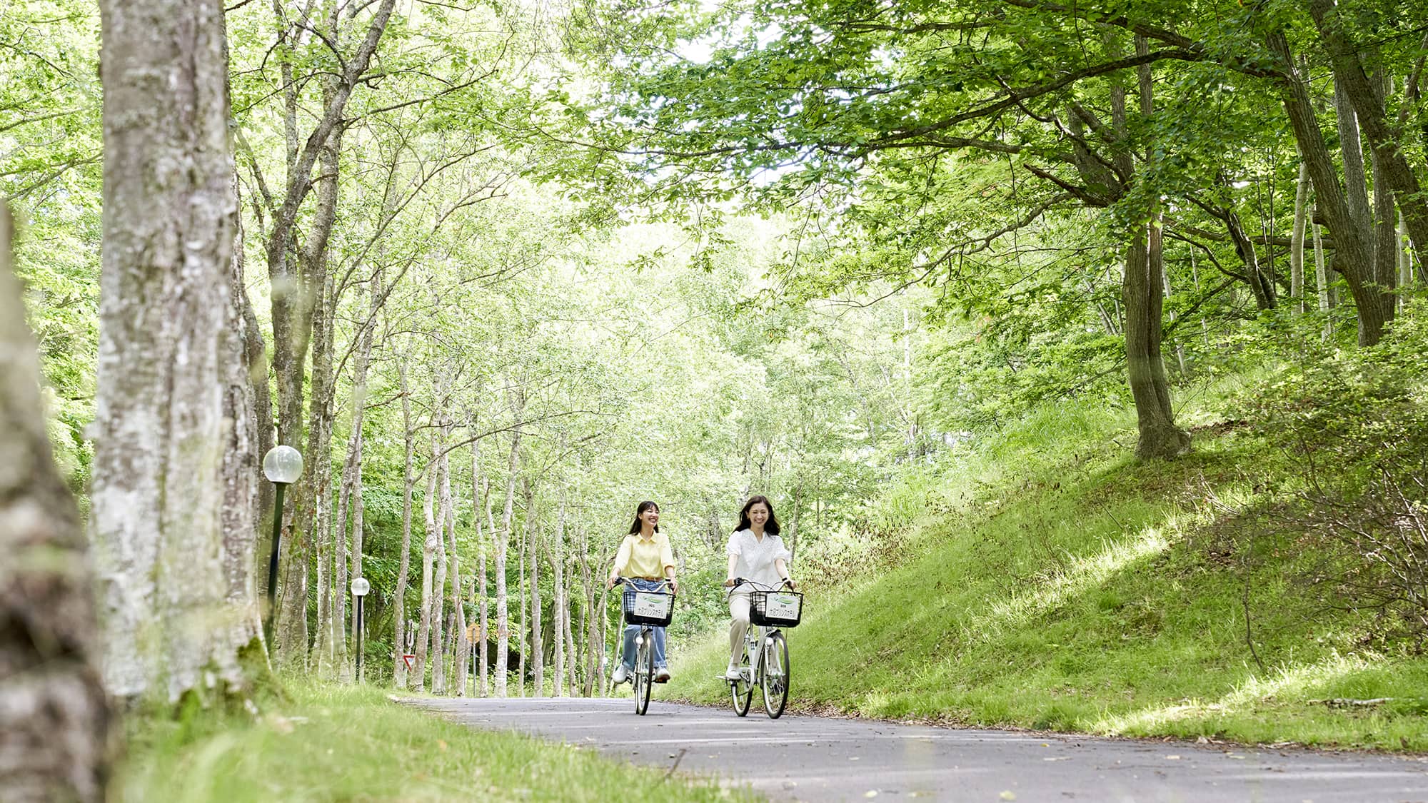 【レンタサイクリング】大沼公園散策におすすめなサイクリング用自転車を貸し出ししております。