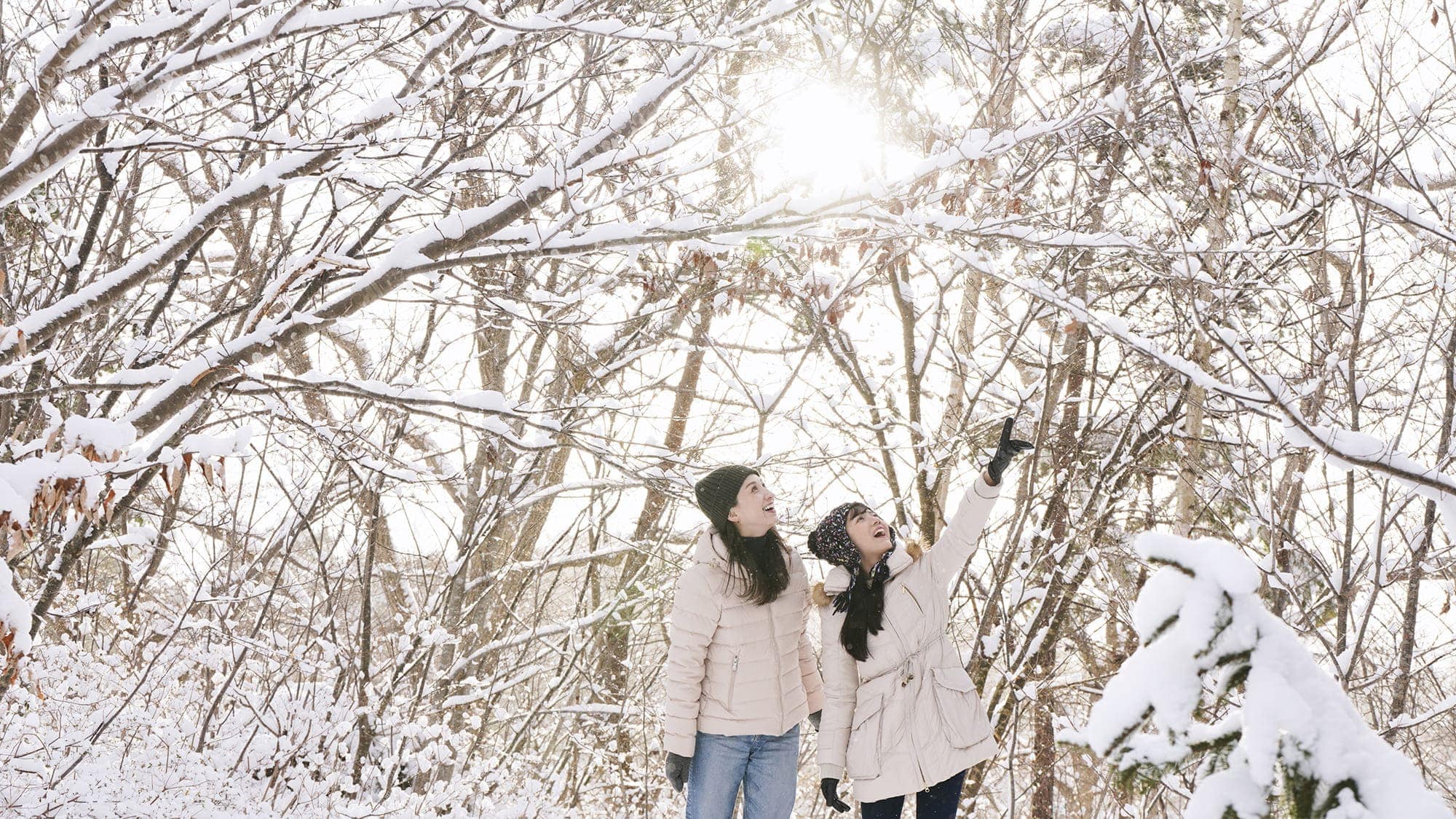 【散策】ホテル敷地内にはシマエナガと出会えるかもしれないスポットや、秀峰駒ヶ岳のビュースポットがあり
