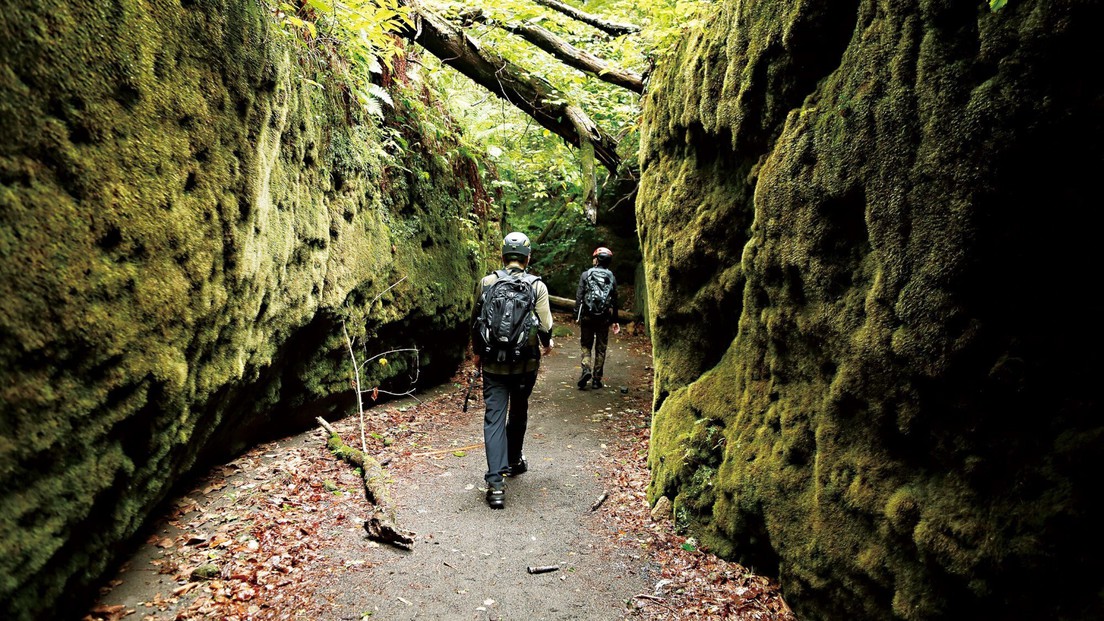 【自然のパワーを体感】苔の回廊 楓沢ツアー付きプラン／ビュッフェ