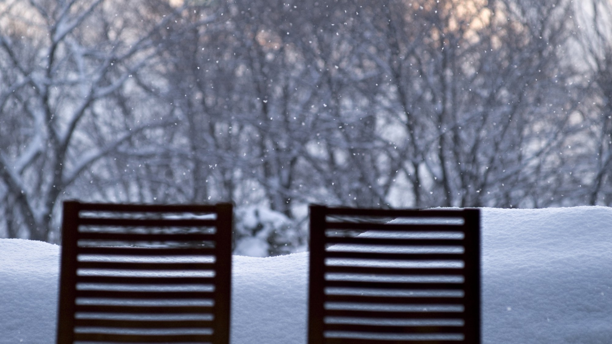 ◆中庭を眺める／冬には北海道らしい雪景色が広がります。