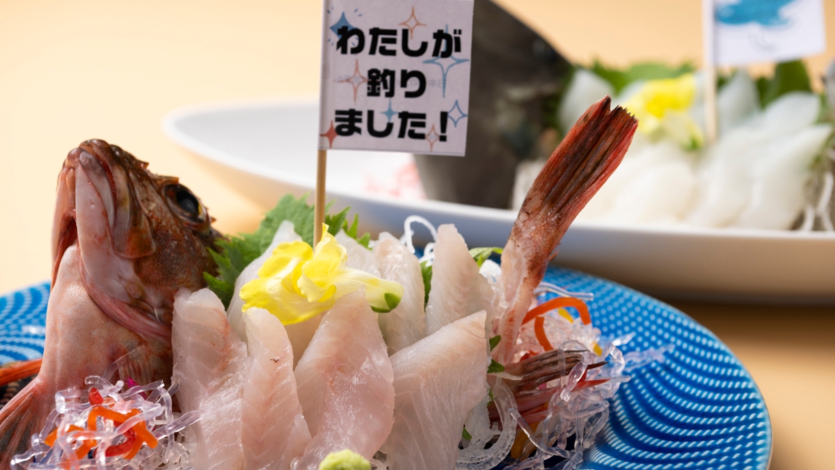 あわかんの釣れた魚のお造り