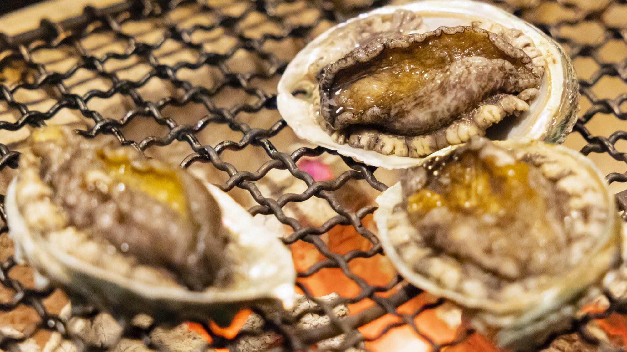 懐かしの雰囲気のさんさ亭で愉しむ炉端会席※イメージ