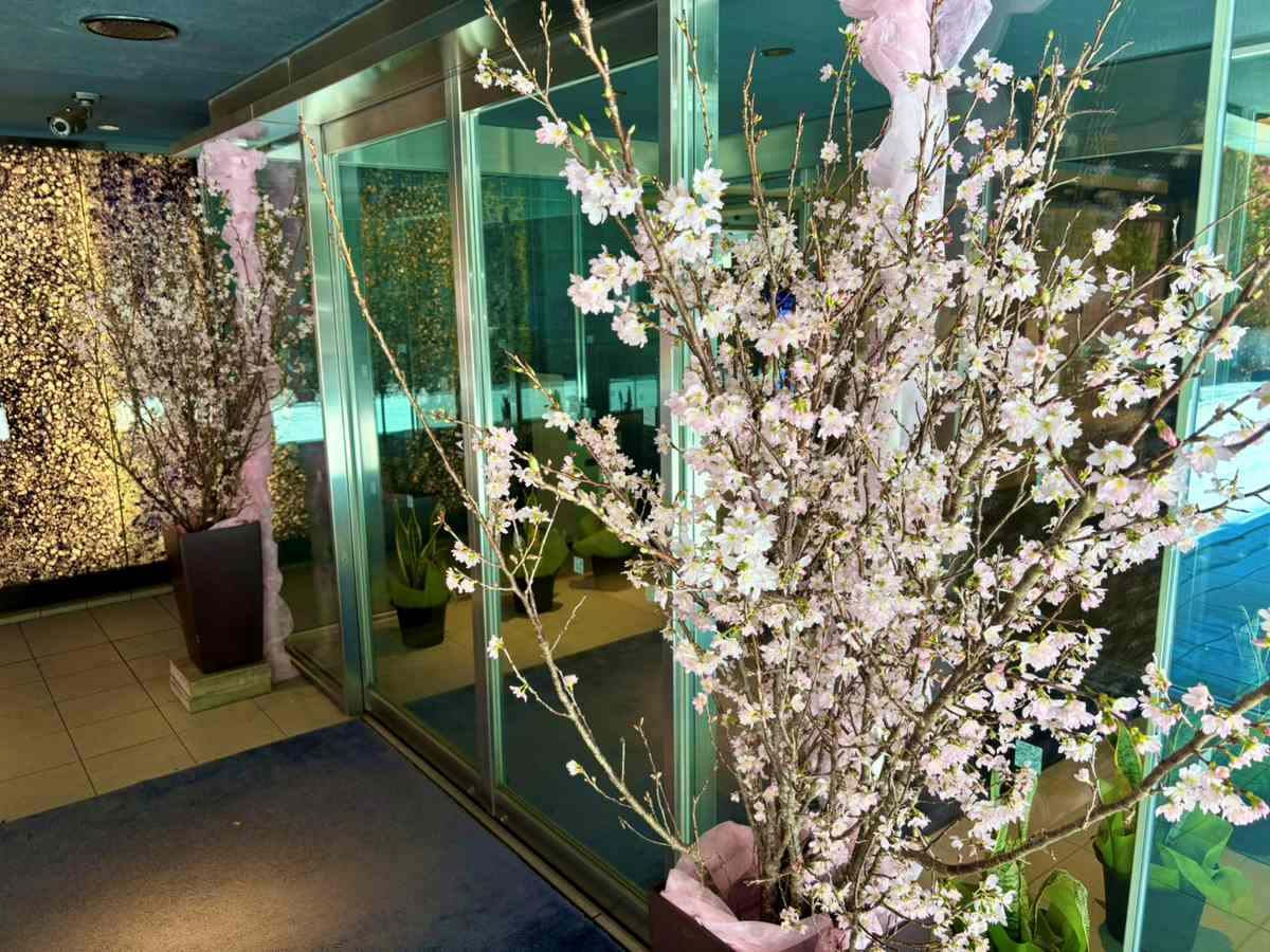 アジア会館入口（桜）