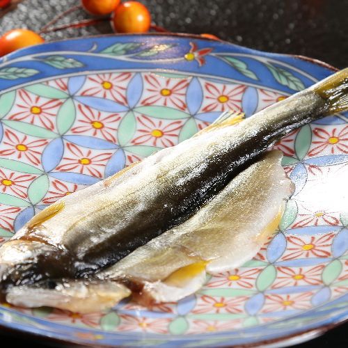 【お日にち限定朝食付】　わんこ旅　わんちゃんと一緒　専用同伴ルーム　富山のおいしい朝ごはん