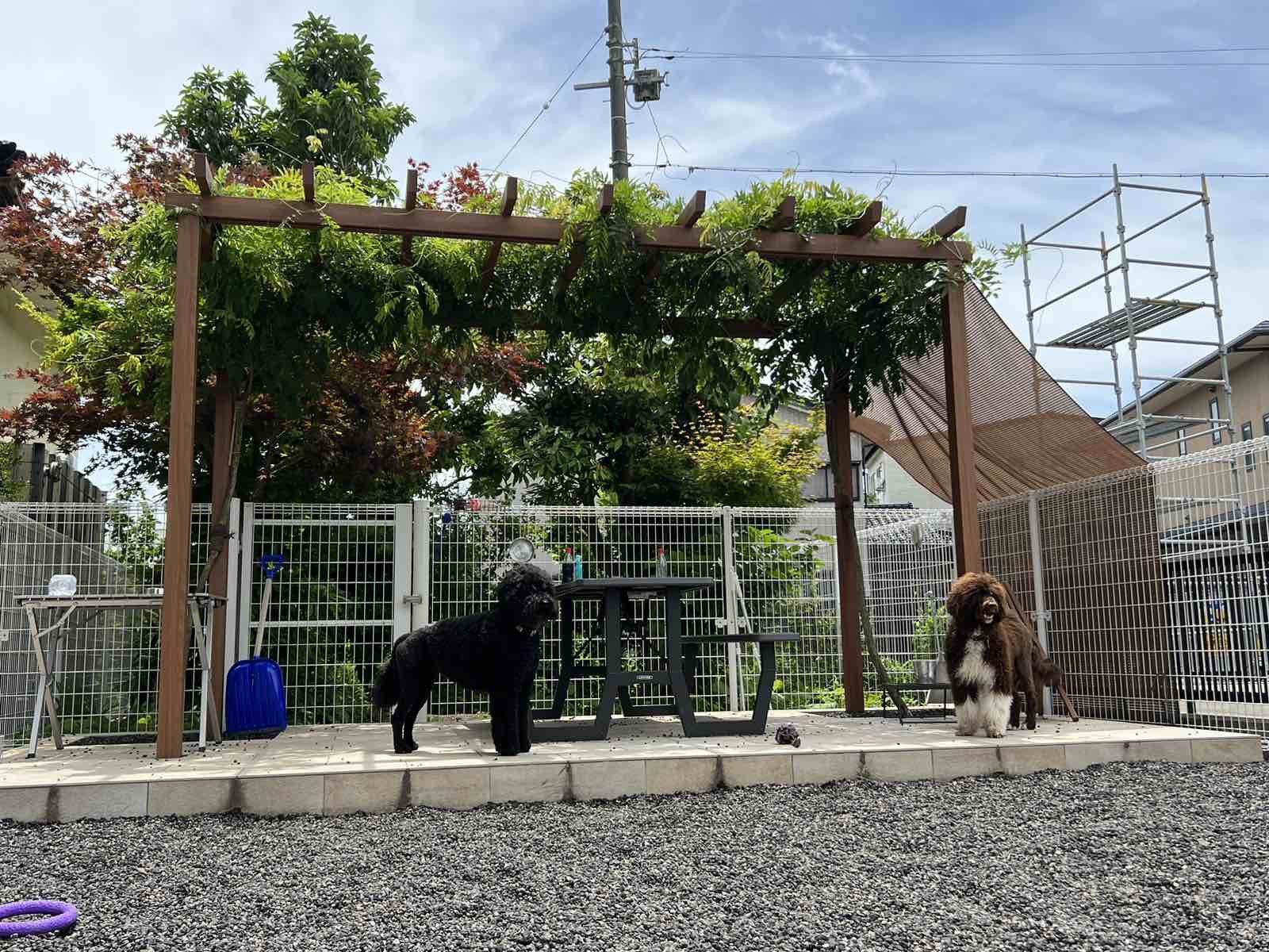 ドッグラン