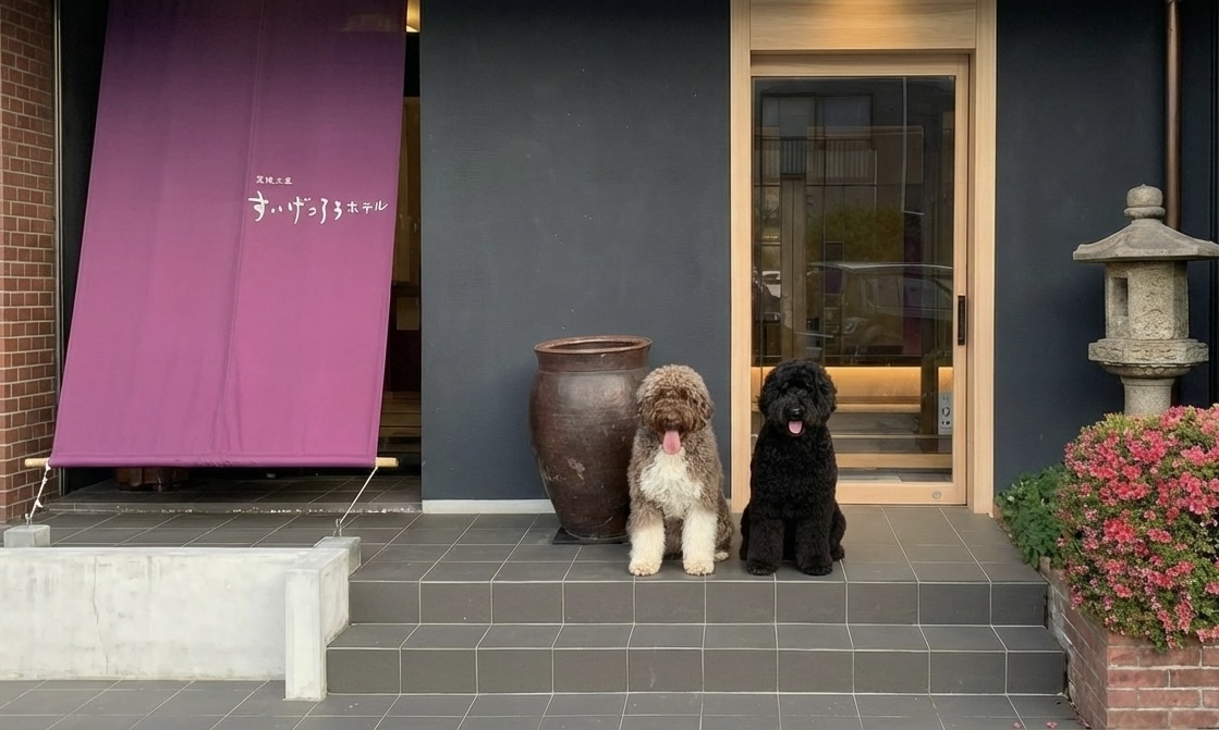 看板犬の八雲と緑月です。ポーチュギーズウォータードッグという初聞きではまず覚えられない犬種です。八雲は女の子で優しい子です。緑月は男の子で少しヤンチャだけど素直な良い子ですお越しの際はお気軽にお声掛けください、人は大好きで大型犬からでは抱きしめたりもできます