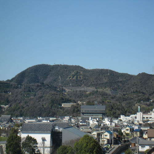 北側シングルから見た風景