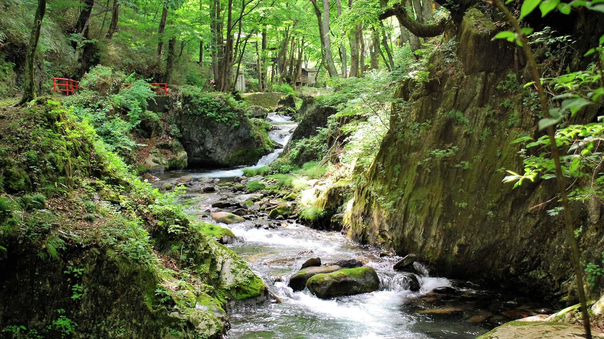 【周辺景観】龍泉洞の清水が流れる渓流も苔生して緑が深く絶景です。