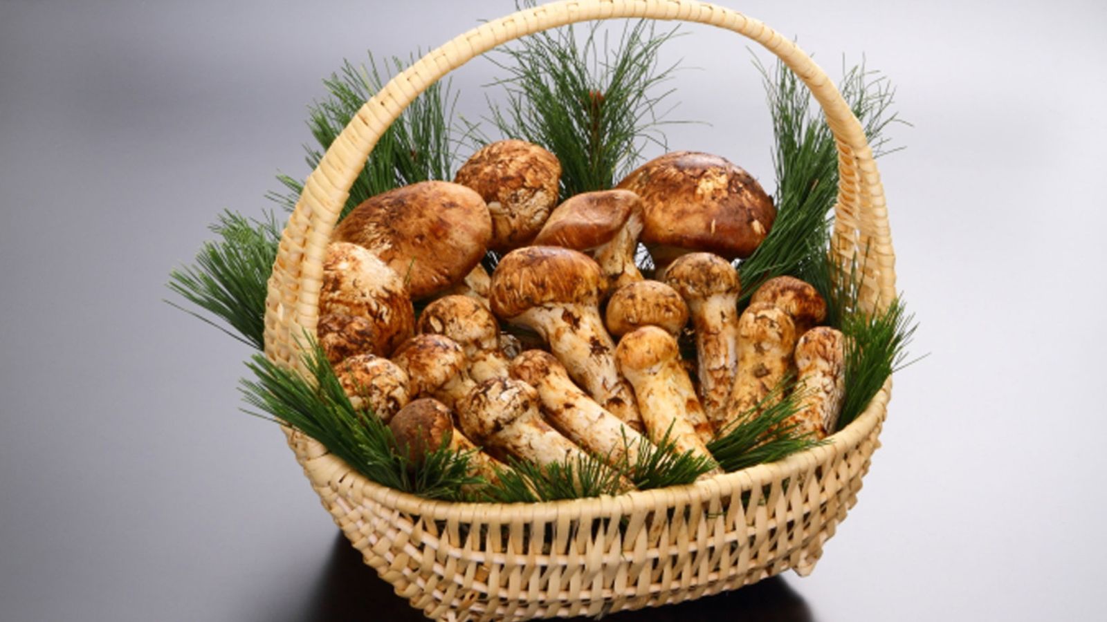 【岩泉まつたけ・イメージ】全国的にも高い評価を得ております