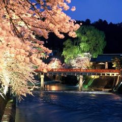 飛騨高山・春のライトアップ