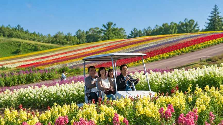 【期間限定】四季彩の丘でお花畑をらくらく堪能♪4人乗りカート１５分貸切乗車券付き／夕朝食付