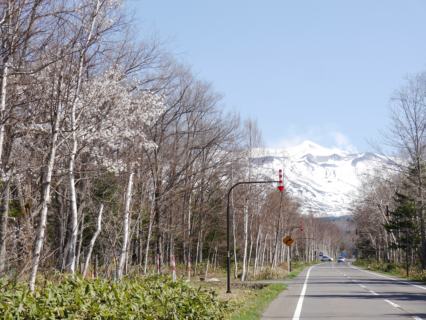 白樺街道から見た大雪山連峰