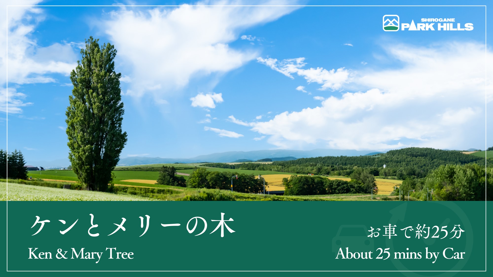 ケンとメリーの木／車で約25分