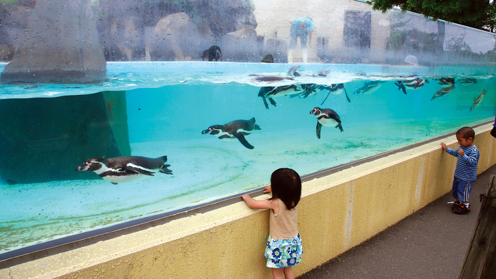 家族旅行応援 大森山動物園「あきぎんオモリンの森」入園券付宿泊プラン