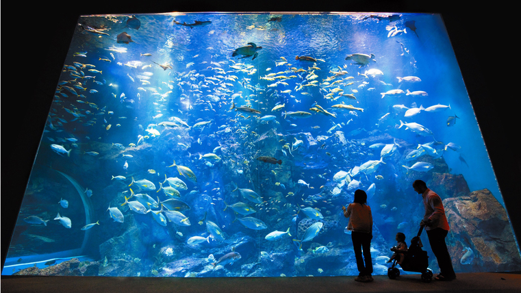 家族旅行応援「男鹿水族館GAO」＆「なまはげ館」入場券付宿泊プラン