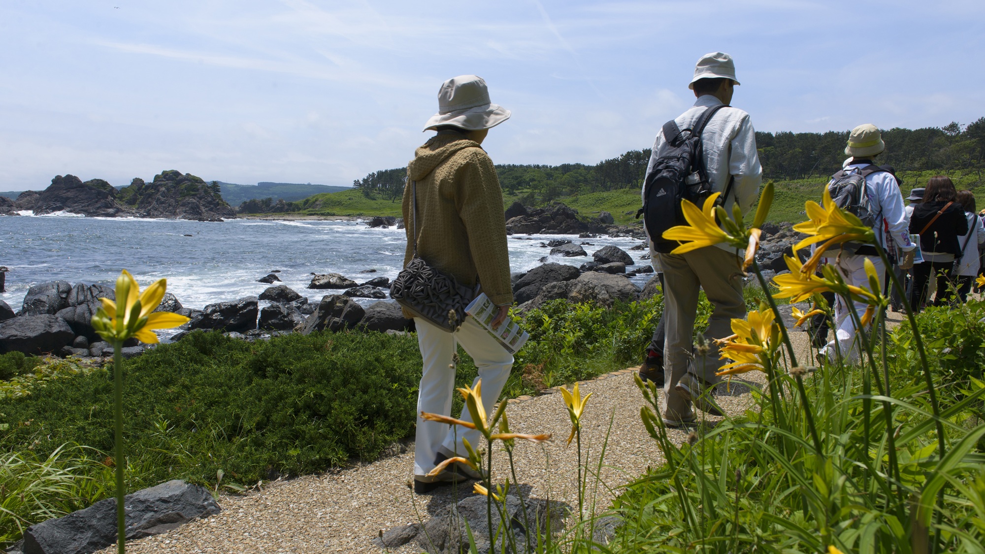 【近隣観光地】みちのく潮風トレイル（種差海岸区間）