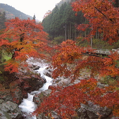 紅葉の蛇喰渓谷 （車約10分）