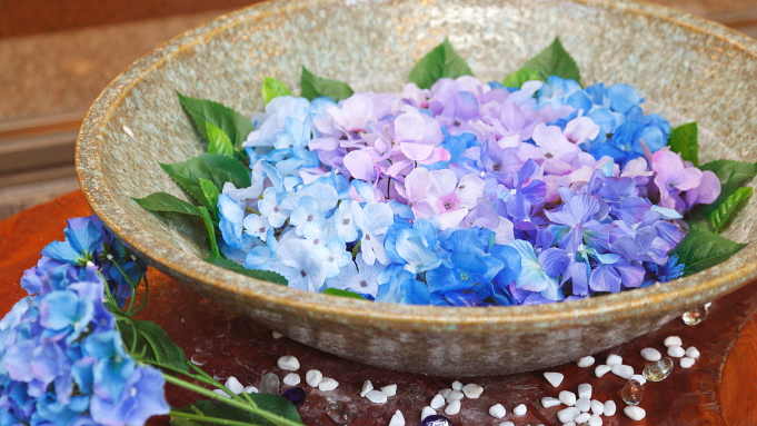 色鮮やかな花手水(はなちょうず)(2024/06)