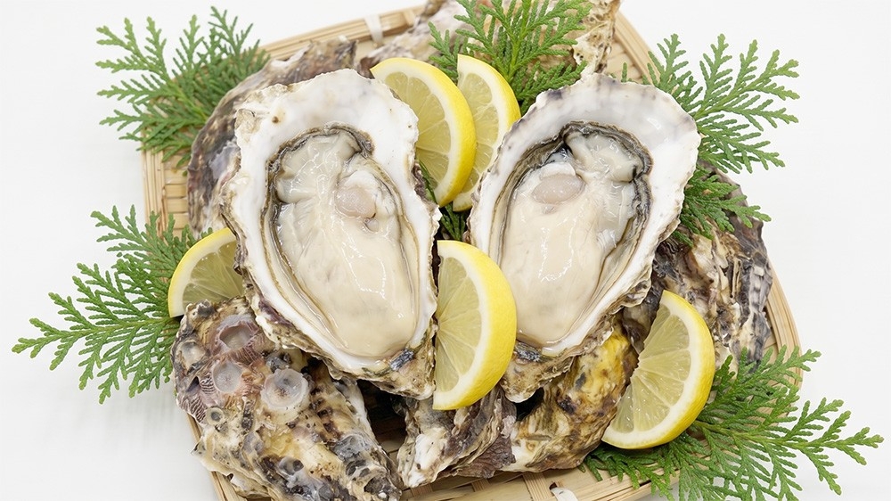 【初夏限定】庄内浜の岩牡蠣付き！日本海の幸を味わう海鮮会席プラン