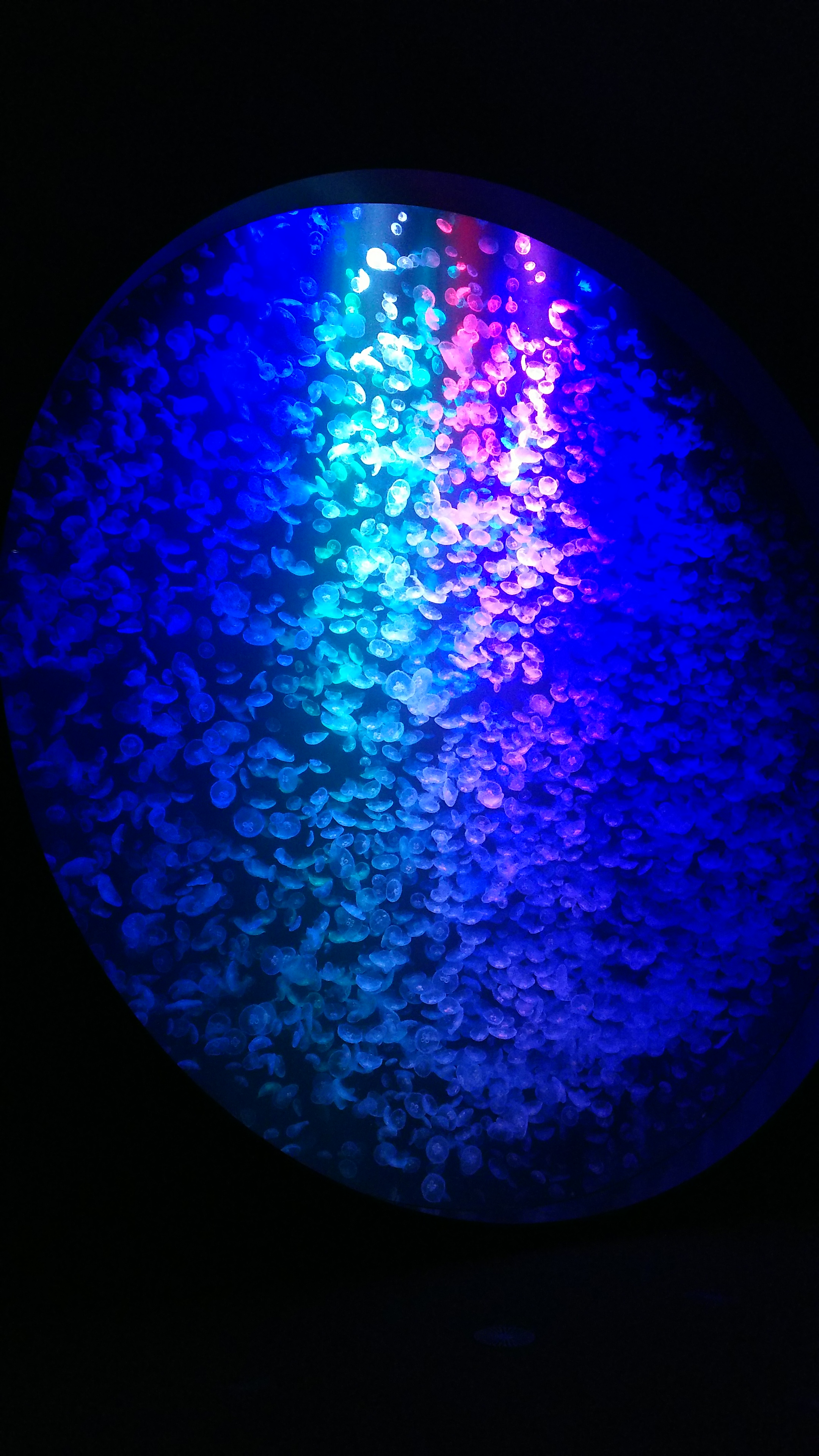 クラネタリウム