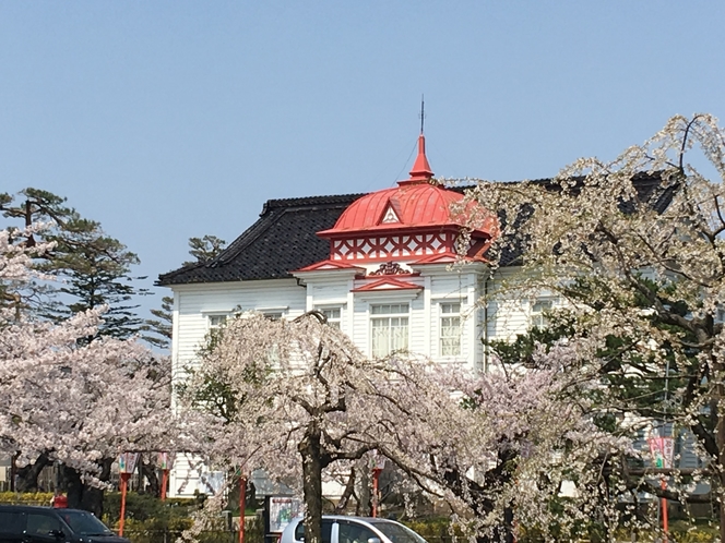 桜