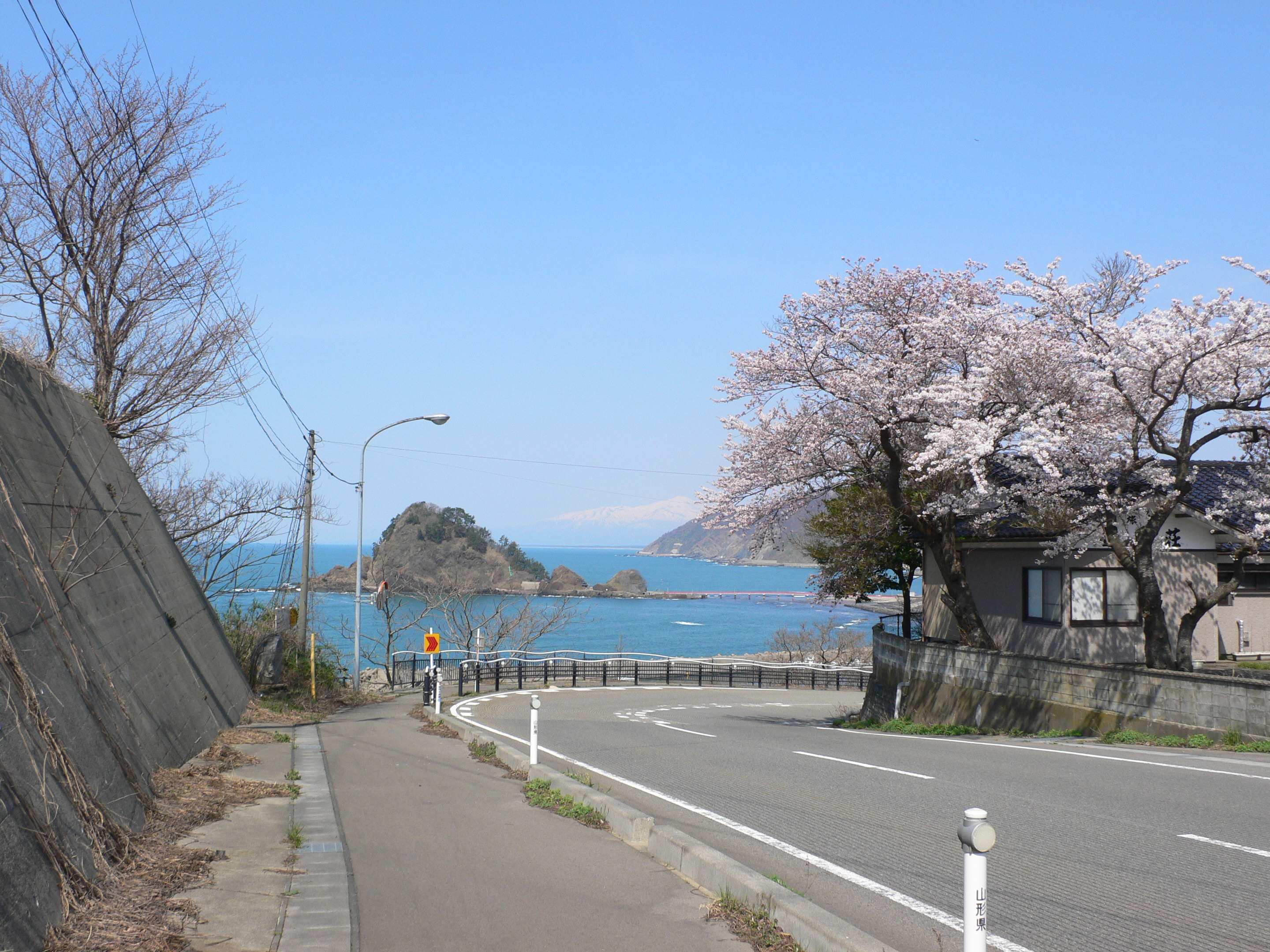 ４月の桜と鳥海山