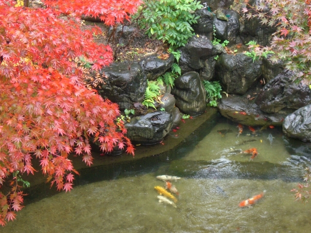 【現金払い限定】素泊まりお得プラン