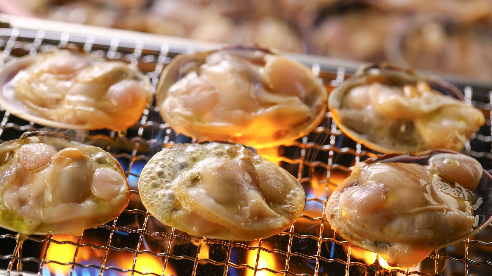 【鴨川シーワールド 入館チケット付き】シャチと出会える鴨川シーワールドの1DAYチケット付きプラン