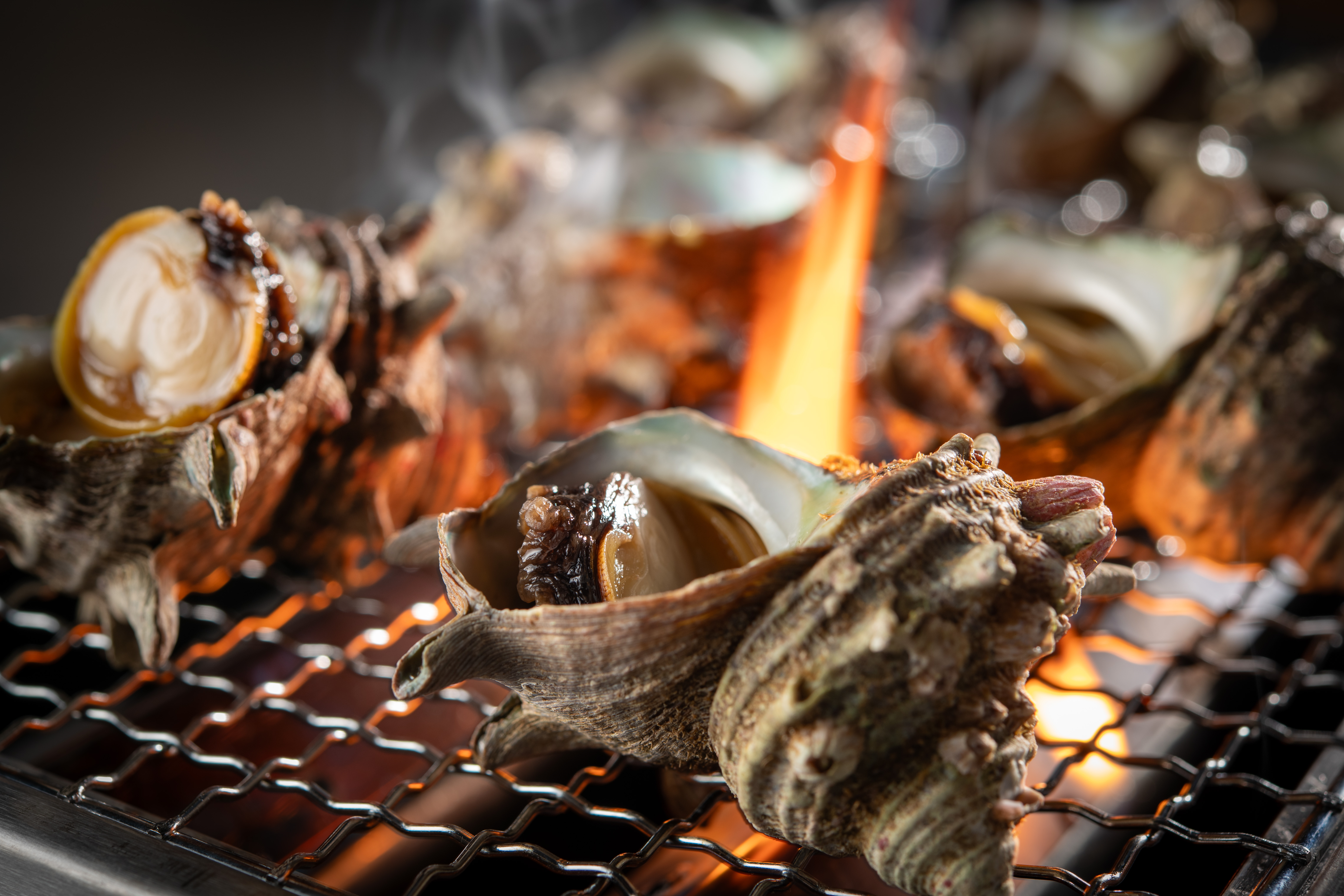 浜焼きイメージ（サザエ）