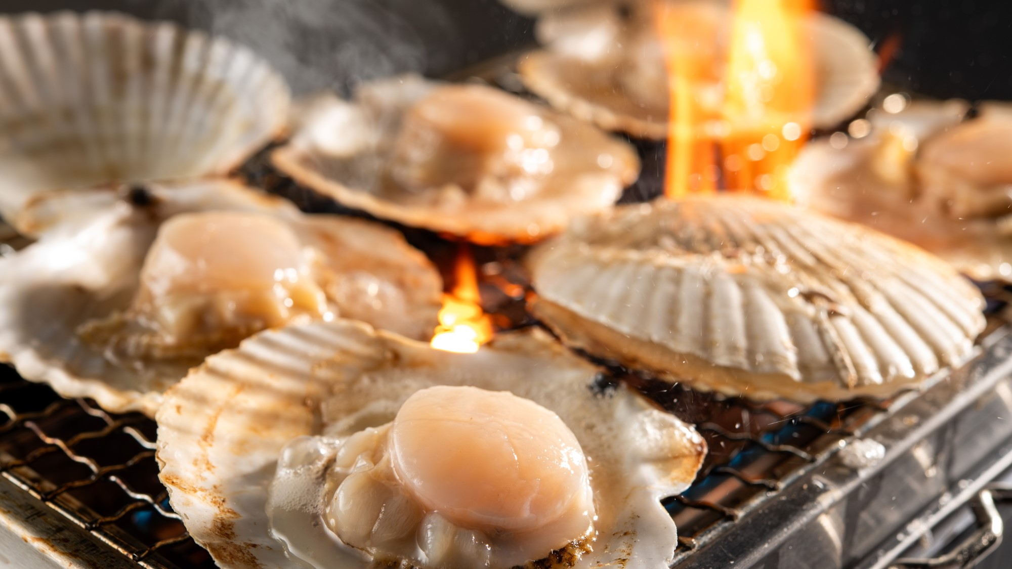 浜焼きイメージ（ホタテ）