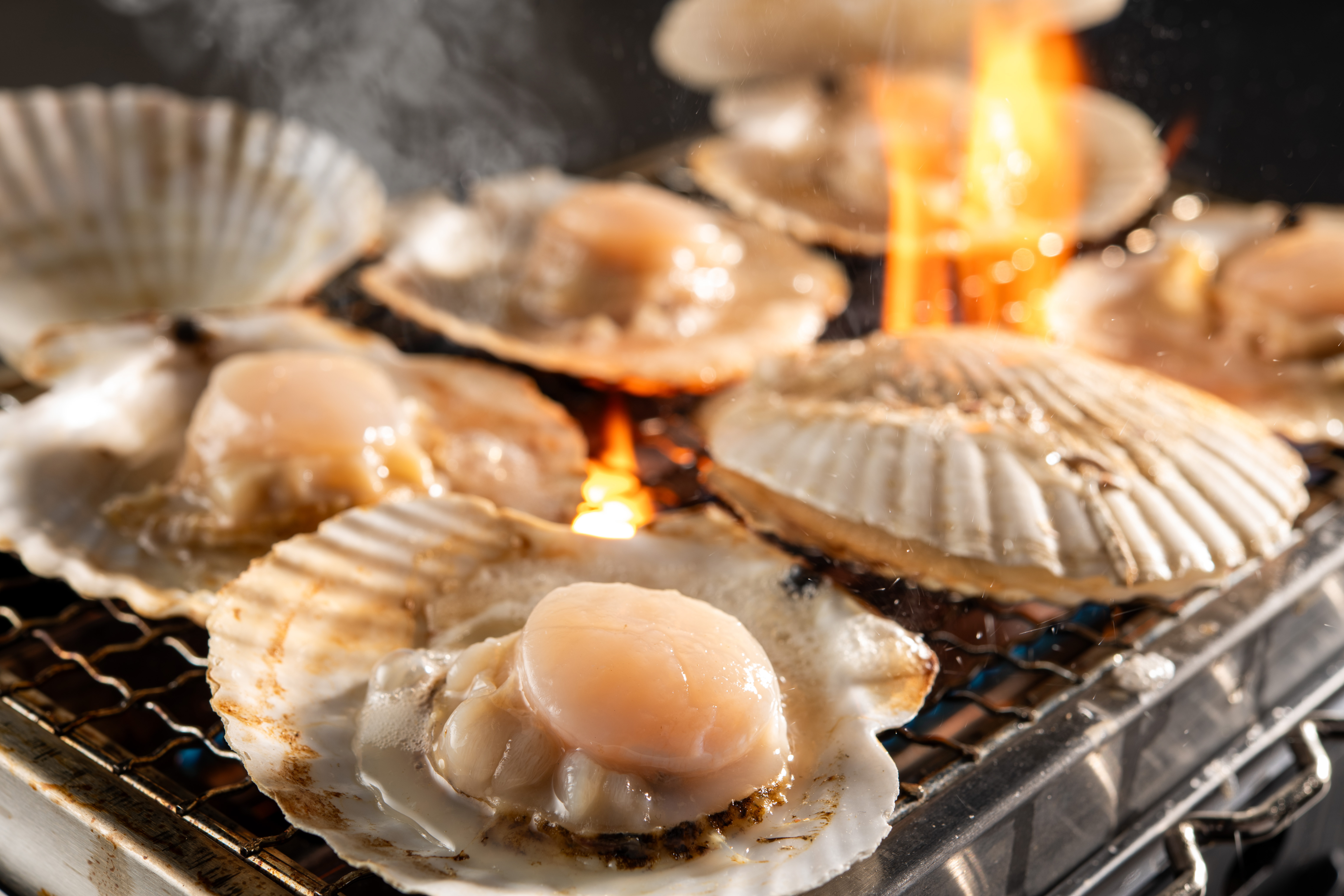 浜焼きイメージ（ホタテ）