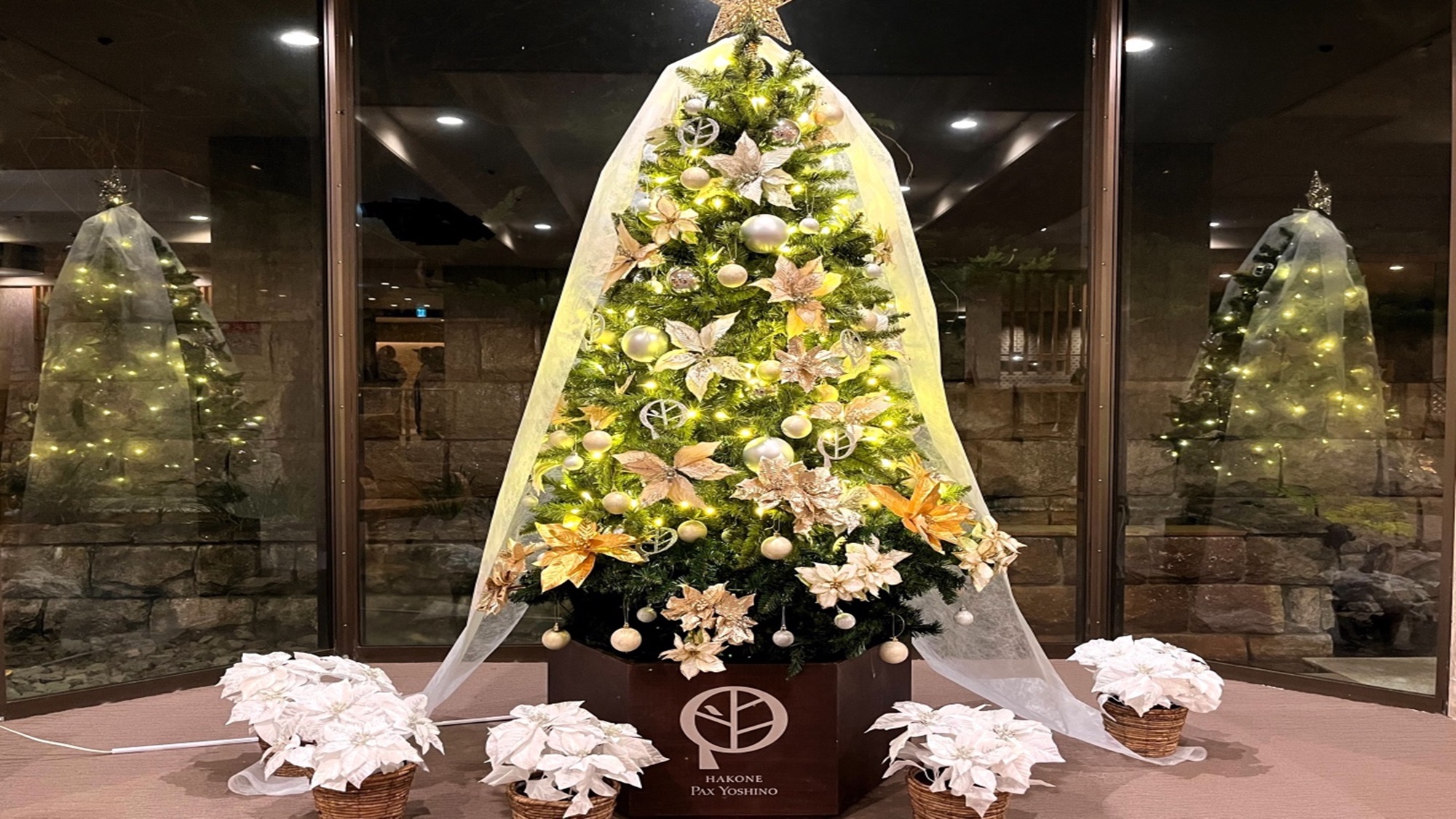 2024年度クリスマスツリー（館内1Fロビーにて展示）