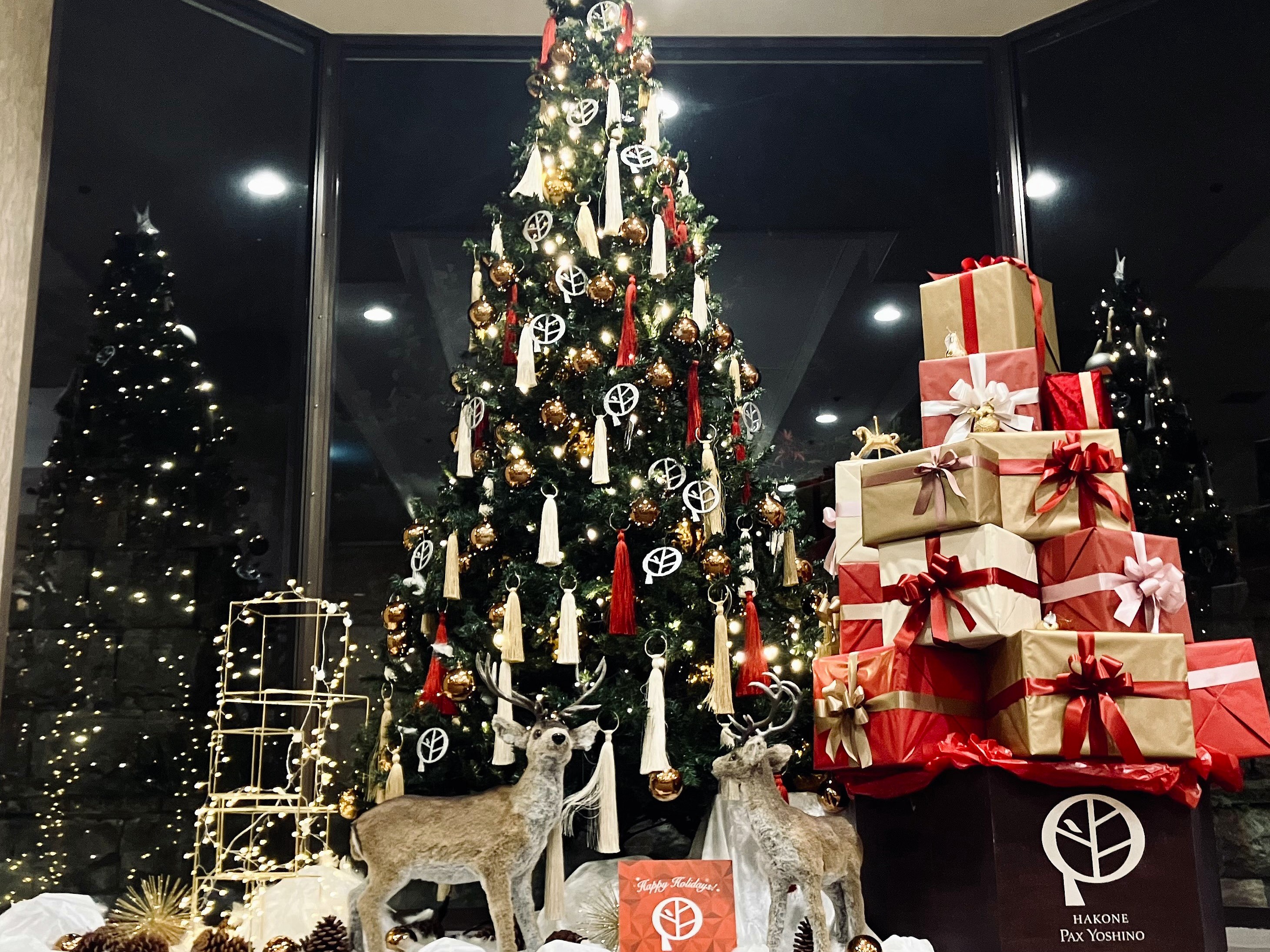 クリスマスツリー2025