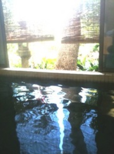 黒色した天然温泉！植物系泉黒湯。