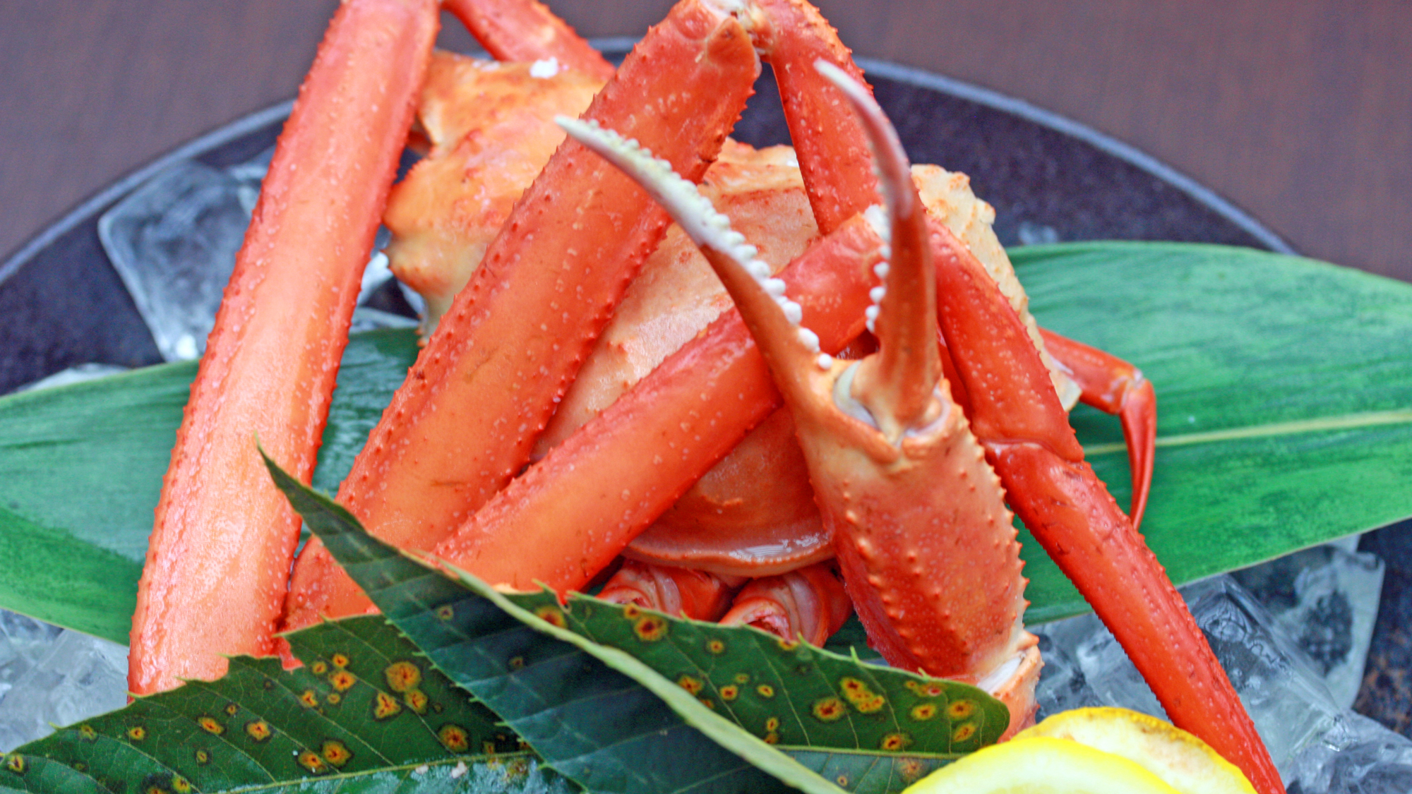 <秋田・男鹿グルメ>～男鹿の赤がに