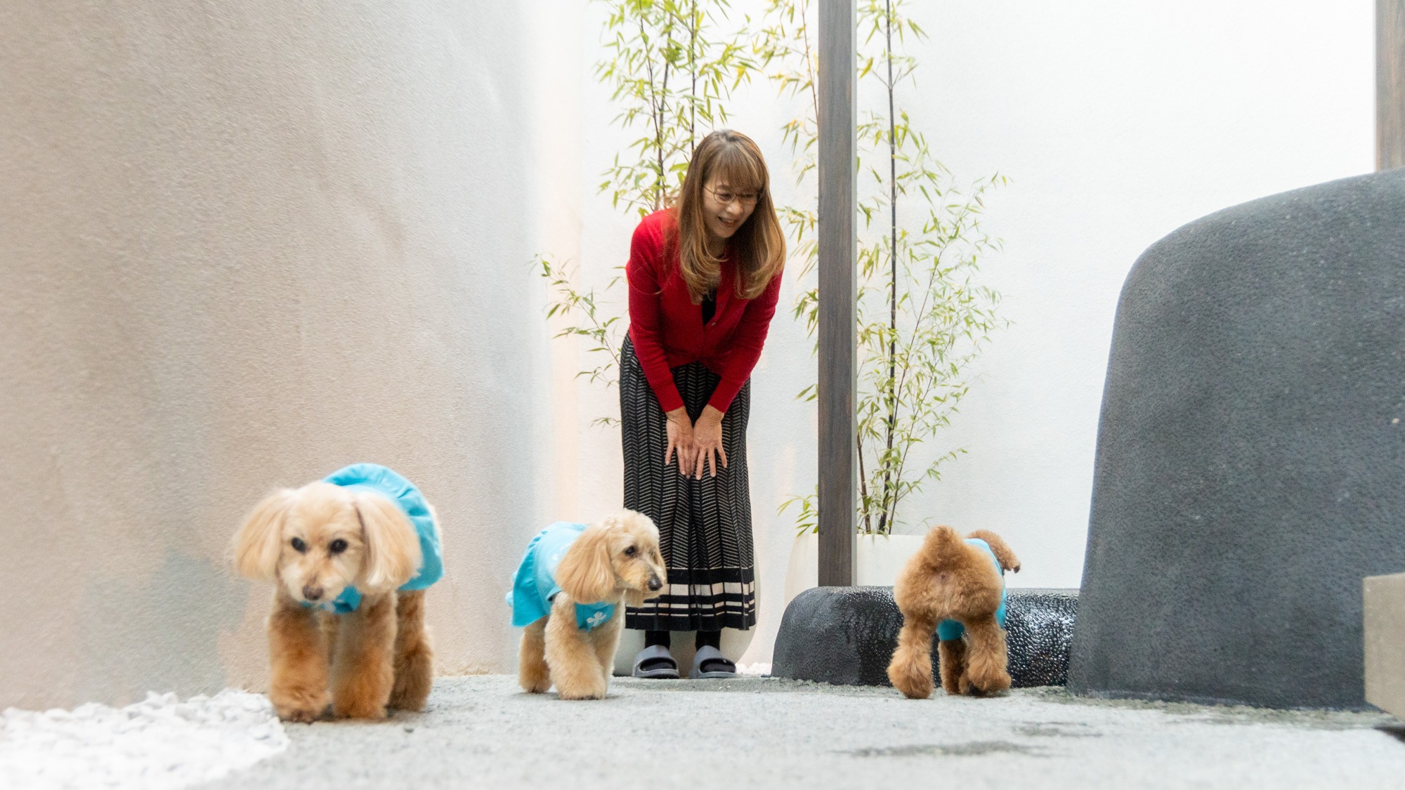 【令和8年1月OPEN】庭園露天風呂付客室 111（163㎡）