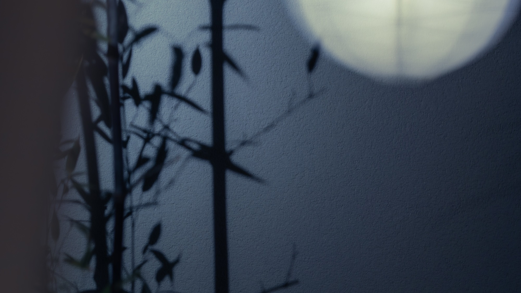 【令和8年1月OPEN】庭園露天風呂付客室 111（163㎡）