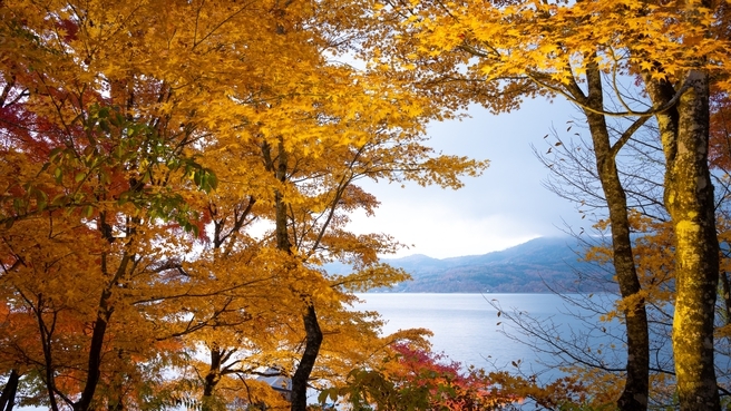 【期間限定｜グループ利用に◎】＜3名以上のご利用でお得★＞リーズナブルに山中湖の旅を満喫／素泊まり